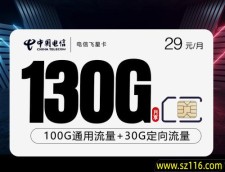 2025电信飞星卡【29元130G】