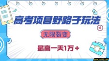 2024高考项目野路子玩法，无限裂变，最高一天1W＋