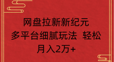 2025 网盘拉新攻略：多平台细腻操作，月入 2 万 + 不费力