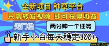 全新项目 种草平台 只需要转发任务视频 即可获得收益 新手小白每天稳定300+