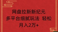 网盘拉新新纪元多平台细腻玩法 轻松月入2万+