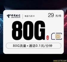 电信飞吉卡【29元80G】 飞吉卡29元包含80g流量