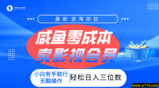 零成本卖影视会员，一天卖出上百单，轻松日入三位数！