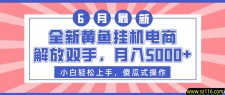 全新黄鱼挂机电商，解放双手，月入5000+