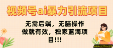 视频号ai暴力引流项目，无需后端，无脑操作，做就有效，独家蓝海项目!!!