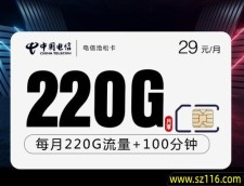 2025电信沧松卡【29元220G+100分钟】