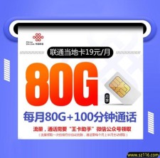 2024联通当地卡【首年19元80G+100分钟】