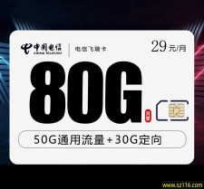 电信飞瑞卡【29元80G】