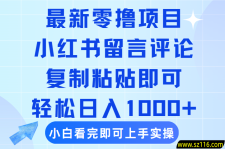 最新零撸小项目，小红书留言评论，复制粘贴即可赚钱，轻松日入1000+
