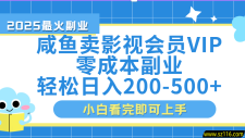 闲鱼零成本卖vip影视会员，日入200-500