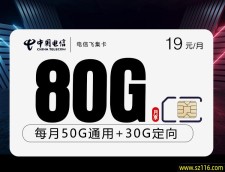 电信飞集卡【两年19元80G】