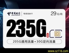 2025电信沧泉卡【29元235G+100分钟】
