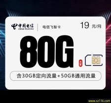 电信飞智卡两年19元80G