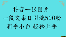 抖音一张图片 一段文案日引流500粉新手小白 轻松上手