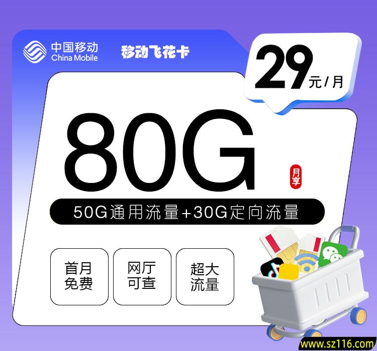 移动飞花卡【29元80G】