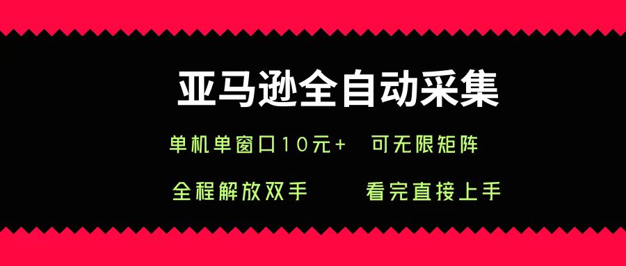 亚马逊全自动采集，单机单窗口一天10+，可无限矩阵去做 第1张