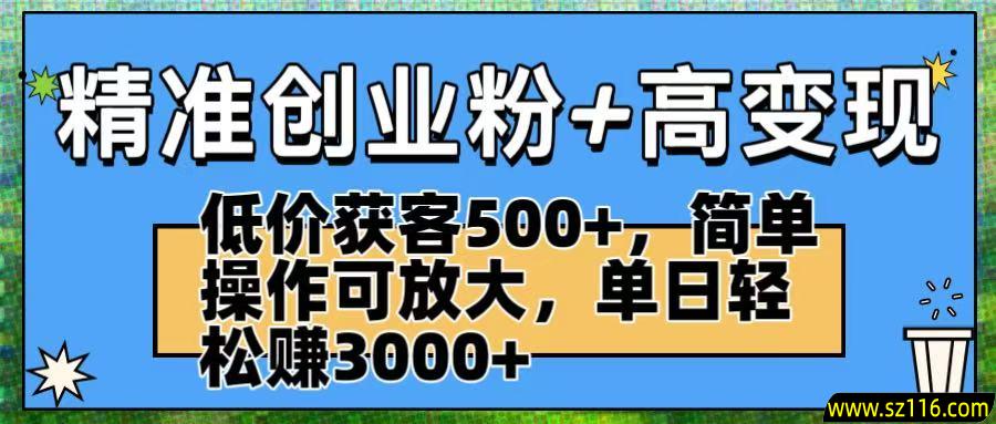 精准创业粉+高变现：低价获客500+，简单操作可放大，单日轻松赚3000+