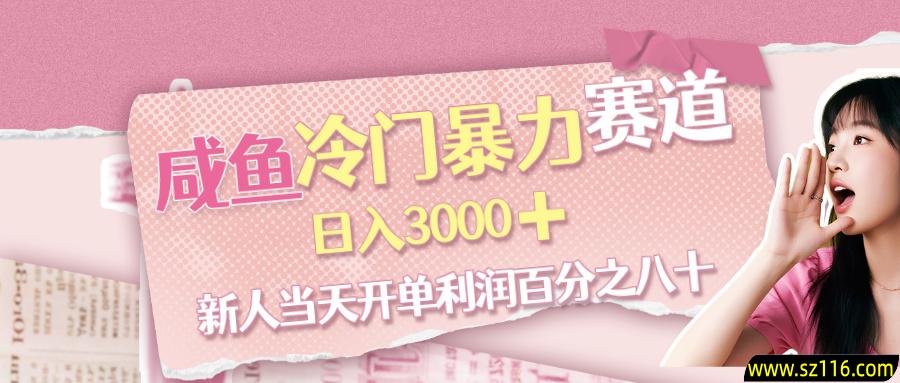 咸鱼冷门暴力赛道，新人当天开单，利润百分之八十，日入3000➕