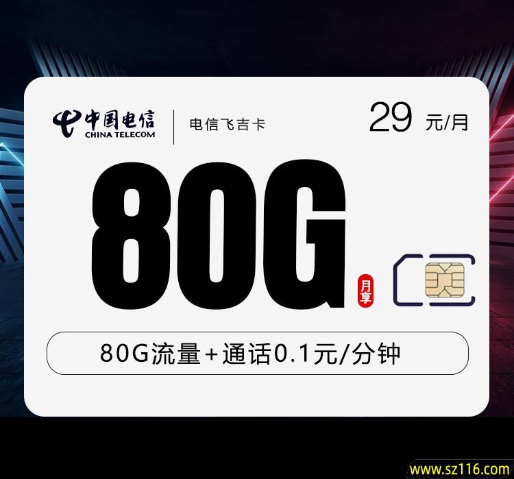 电信飞吉卡【29元80G】 飞吉卡29元包含80g流量
