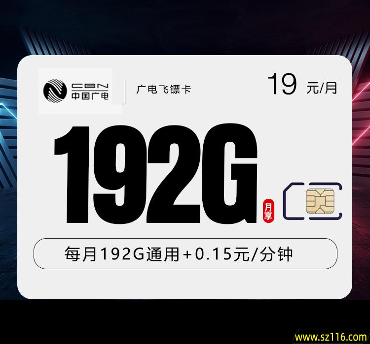 广电飞镖卡29元192G