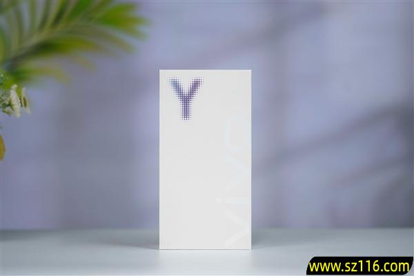 2亿像素旗舰主摄!vivo Y500 Pro图赏