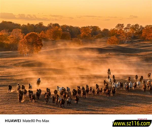 何刚晒华为Mate 80系列实拍样张：红枫影像色彩表现一绝