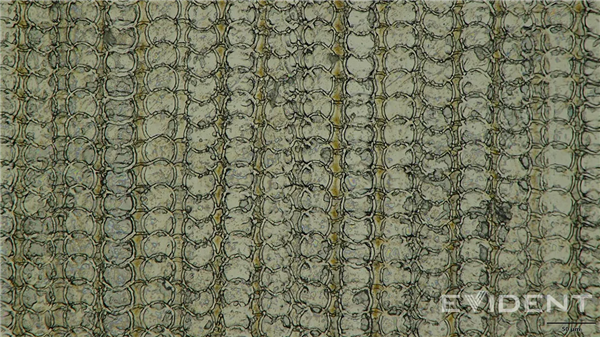 苹果又一突破:iPhone Air USB-C接口采用3D打印技术