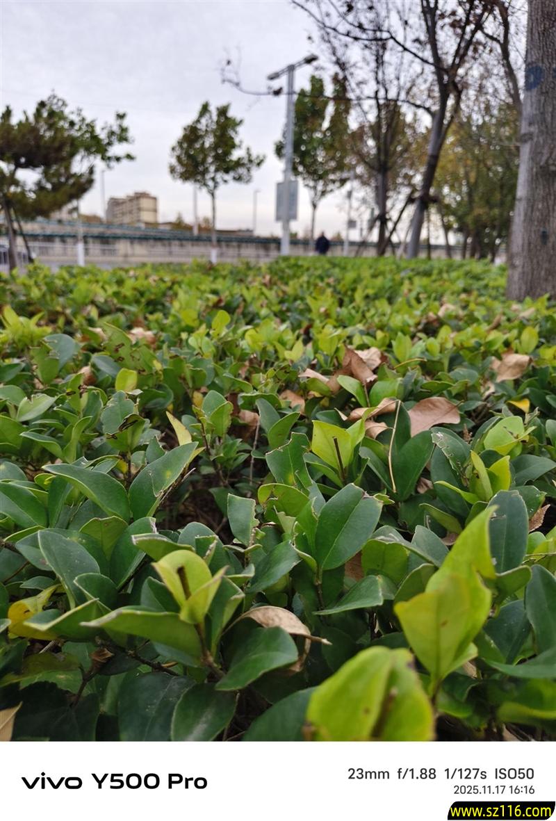 2亿像素的国民小旗舰！vivo Y500 Pro评测：超耐用超给力