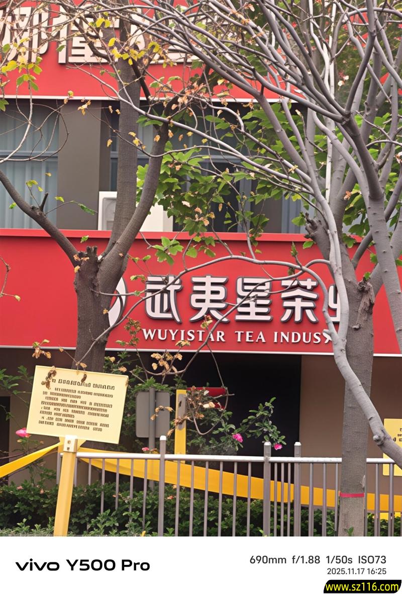 2亿像素的国民小旗舰！vivo Y500 Pro评测：超耐用超给力