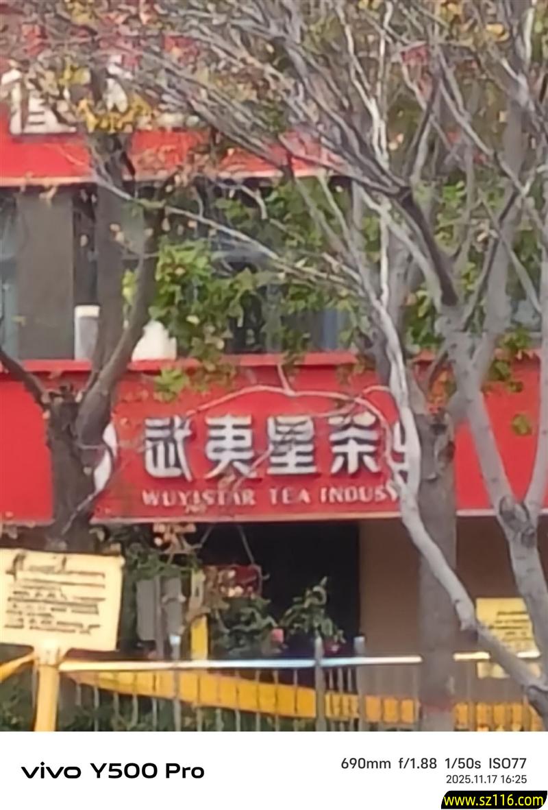 2亿像素的国民小旗舰！vivo Y500 Pro评测：超耐用超给力