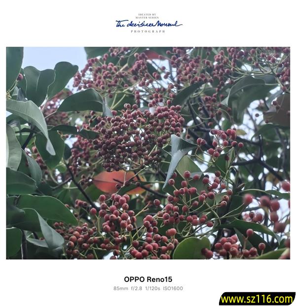 时尚、璀璨、闪耀！OPPO Reno 15评测：6.3英寸掌中影像旗舰！