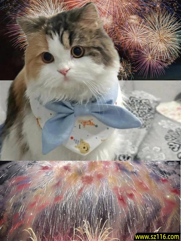 时尚、璀璨、闪耀！OPPO Reno 15评测：6.3英寸掌中影像旗舰！