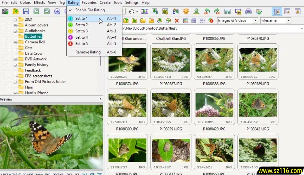 FastStone Image Viewer下载官方版 FastStone Image Viewer截图