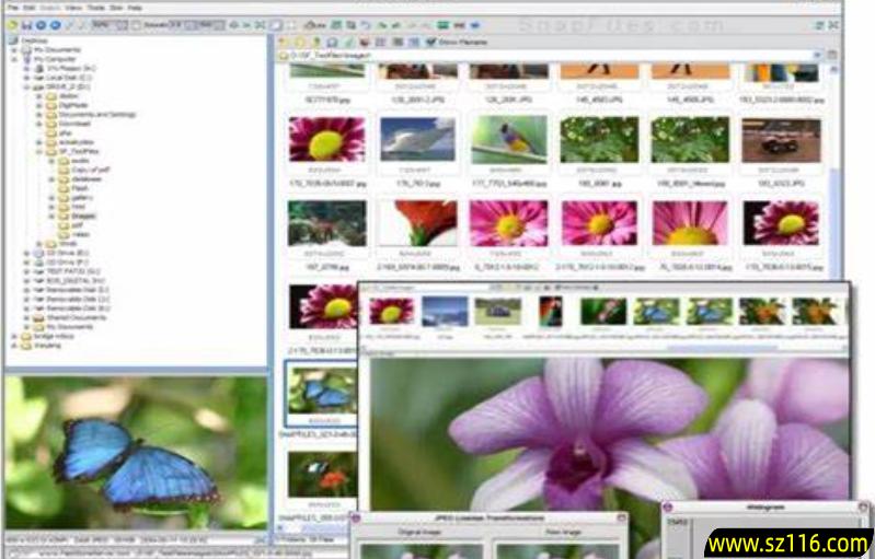 FastStone Image Viewer官网地址 FastStone Image Viewer截图