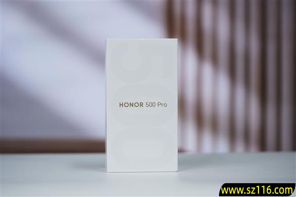 同档最强2亿像素AI主摄！荣耀500 Pro图赏