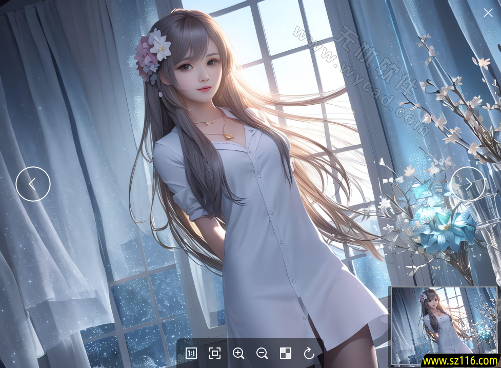 菠萝看图 | Pineapple Pictures v1.2.1 中文绿色版