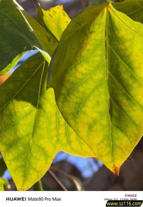 华为Mate 80 Pro Max上手：真正意义上的全能旗舰