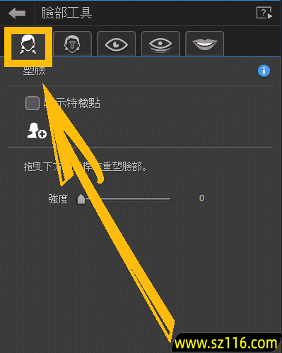 创作完美肖像照2