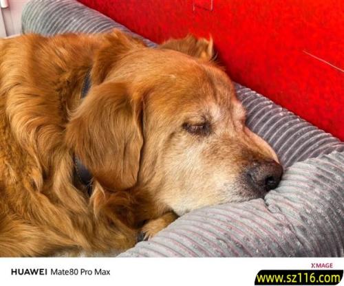 用了几天华为Mate80 Pro Max 我感觉它堆料有点过猛了 用了几天华为Mate80 Pro Max 我感觉它堆料有点过猛了