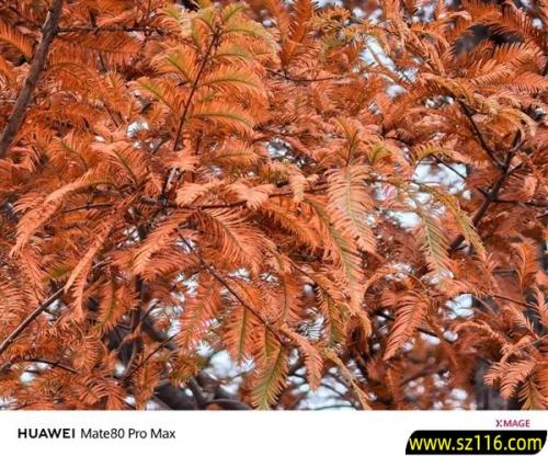 用了几天华为Mate80 Pro Max 我感觉它堆料有点过猛了 用了几天华为Mate80 Pro Max 我感觉它堆料有点过猛了