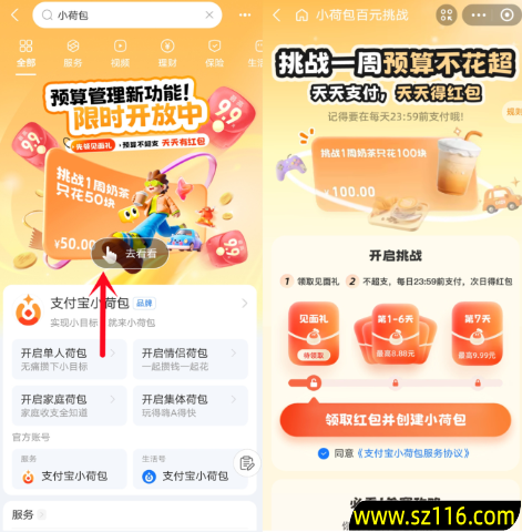 支付宝小荷包百元挑战每天领1-9.99元红包 image.png