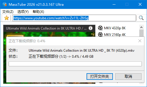 MassTube(YouTube视频下载工具) Ultra v21.3.0.182 多语便携版 c51ce410c124a10-11.png