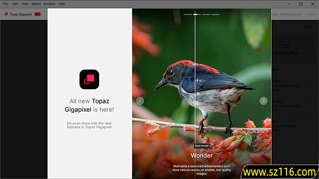 Topaz Gigapixel(图像超分辨率软件) Pro v1.0.5 直装破解版